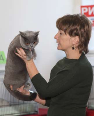 �������� ����� '������� ���-�����' 30 ������-1 ������� 2013., ������������ ��� 2208